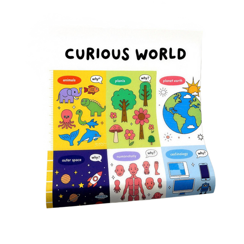 Curious World Wall Map